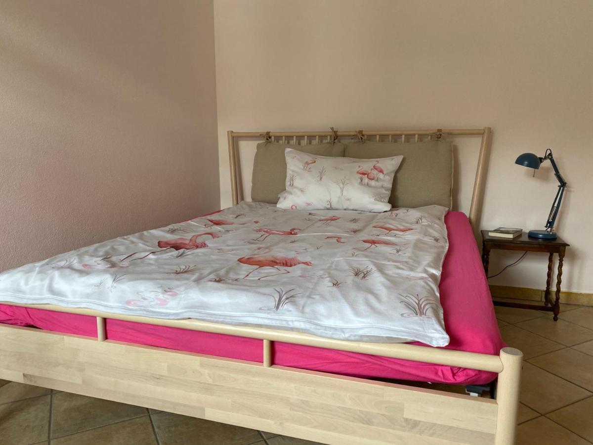 Tauglerei Appartement Bernstein In Den Zauberbergen Sankt Koloman 외부 사진
